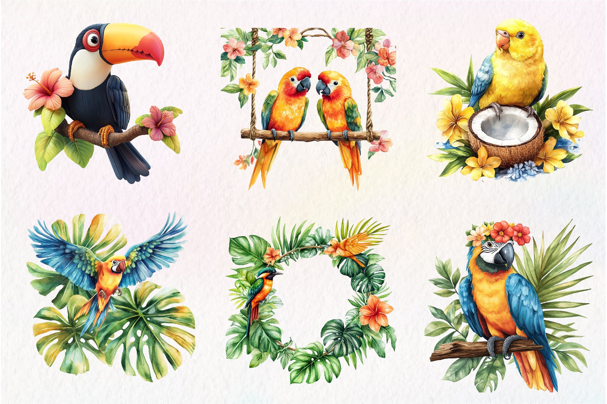 Tropical Bird Jungle Bird Clipart Bundle - CraftNest - Digital Crafting and Art