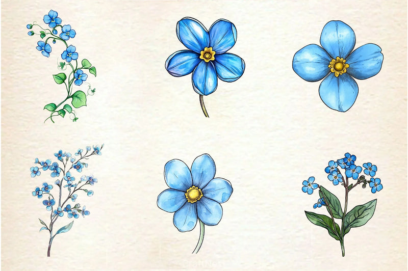 Forget Me Not Flower Bloom Clipart Bundle - CraftNest - Digital Crafting and Art
