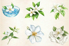 Spring Jasmine Flower Clipart Bundle 5 - CraftNest - Digital Crafting and Art
