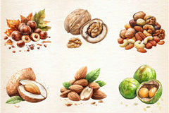 Nuts Clipart Bundle 2 - CraftNest - Digital Crafting and Art