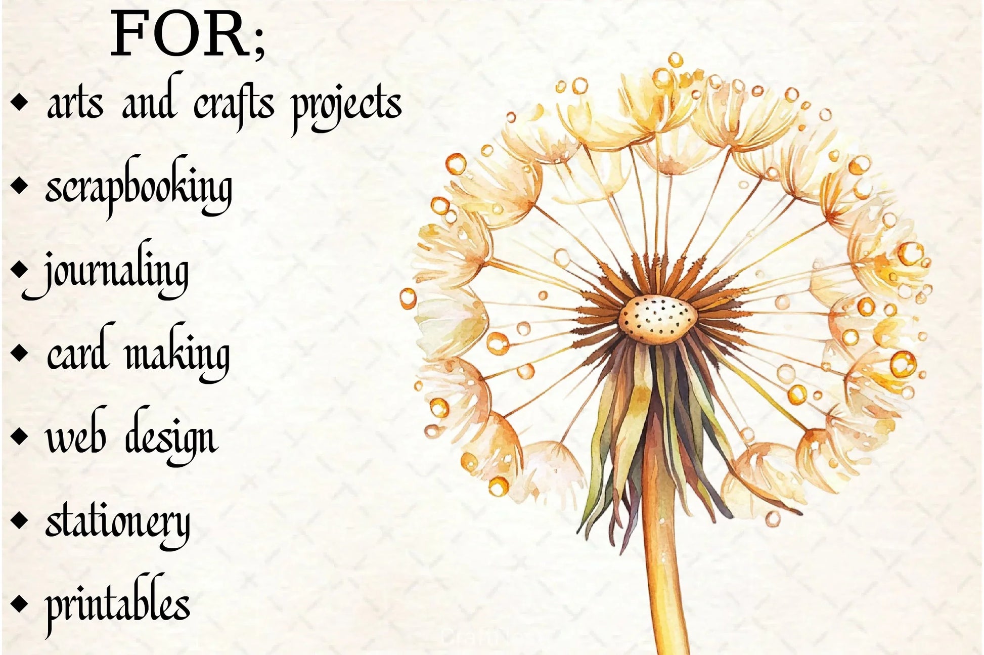 Dandelion Clipart Bundle - CraftNest - Digital Crafting and Art