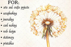 Dandelion Clipart Bundle - CraftNest - Digital Crafting and Art