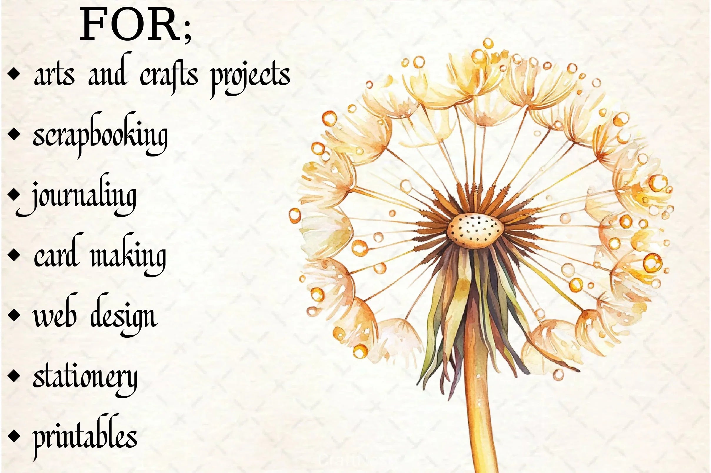 Dandelion Clipart Bundle - CraftNest - Digital Crafting and Art