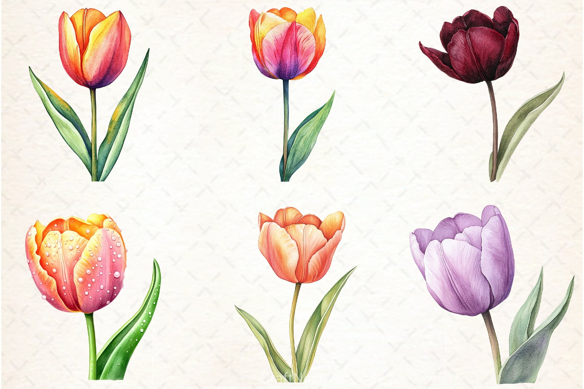 Tulip Clipart Bundle - CraftNest - Digital Crafting and Art