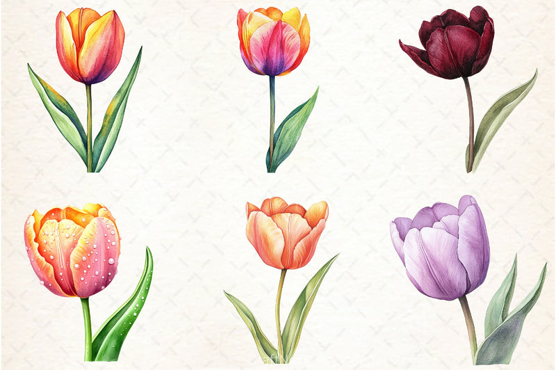 Tulip Clipart Bundle - CraftNest - Digital Crafting and Art