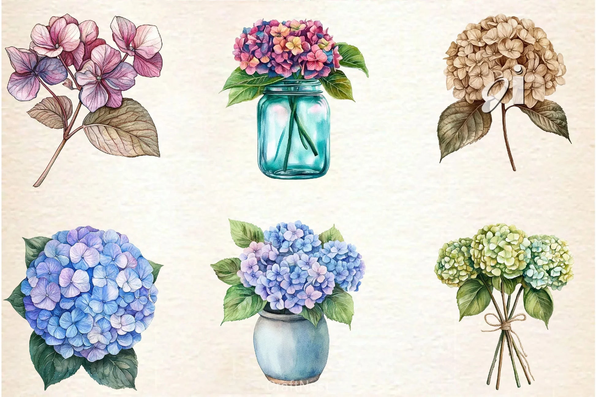 Hydrangea Clipart Bundle 2 - CraftNest - Digital Crafting and Art