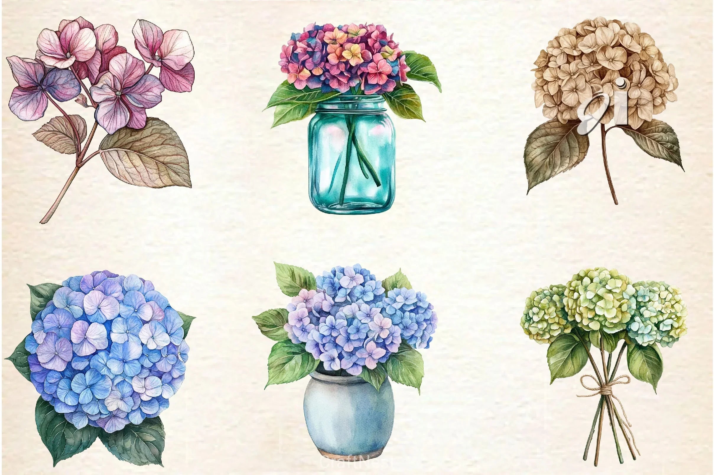 Hydrangea Clipart Bundle 2 - CraftNest - Digital Crafting and Art
