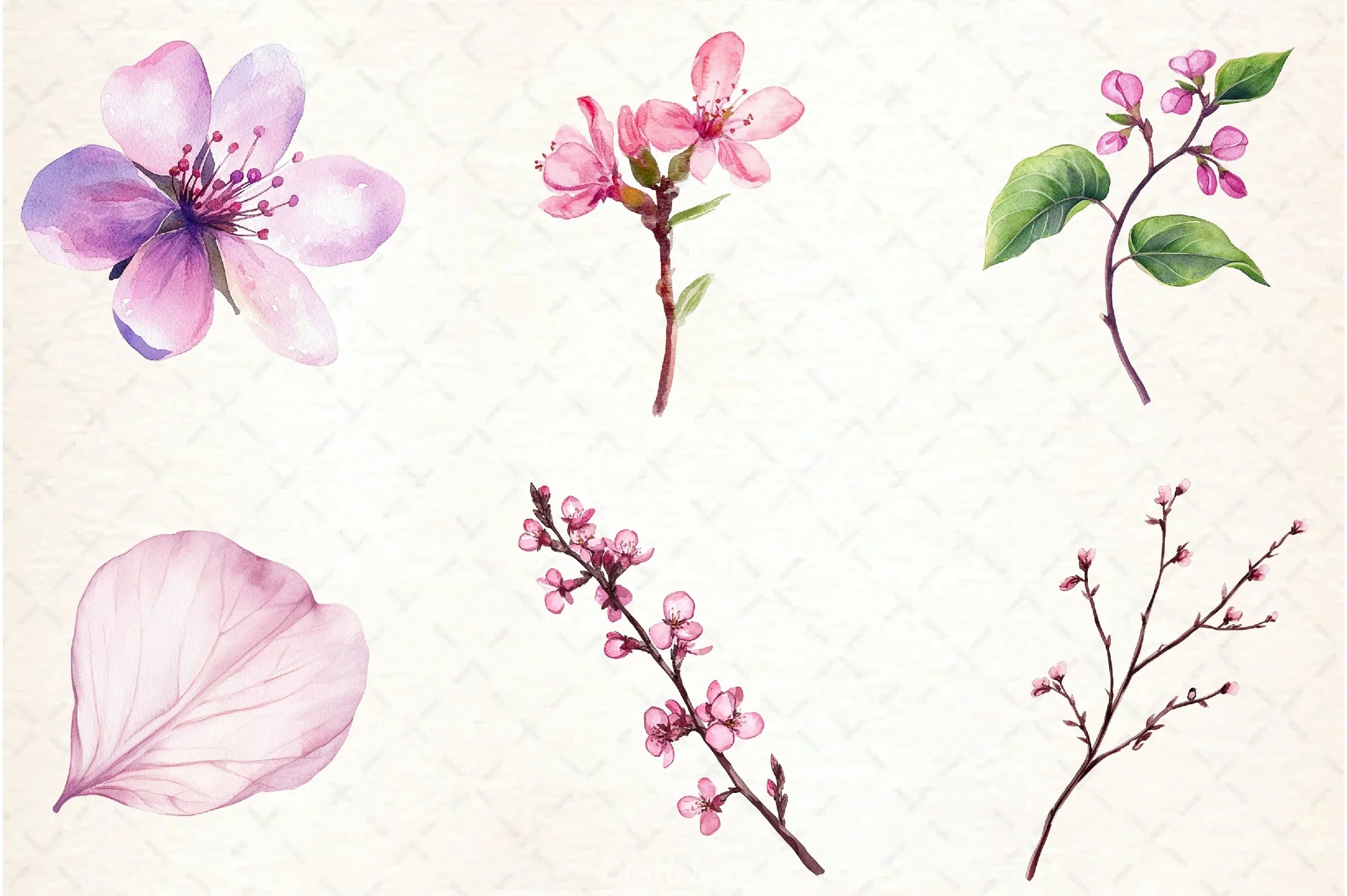 Spring Redbud Flower Clipart Bundle 3 - CraftNest - Digital Crafting and Art