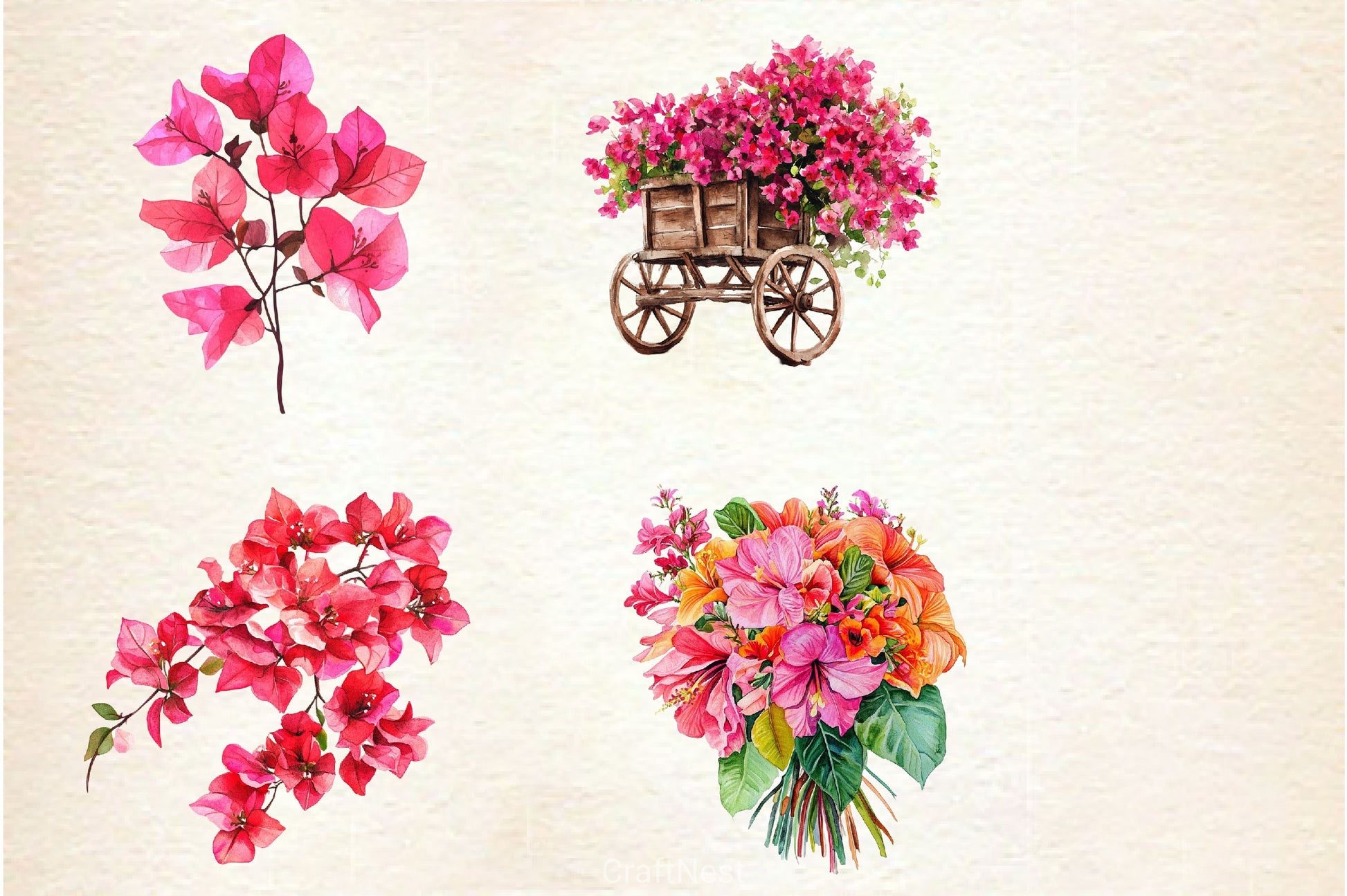 Bougainvillea Flower Clipart Bundle 3 - CraftNest - Digital Crafting and Art