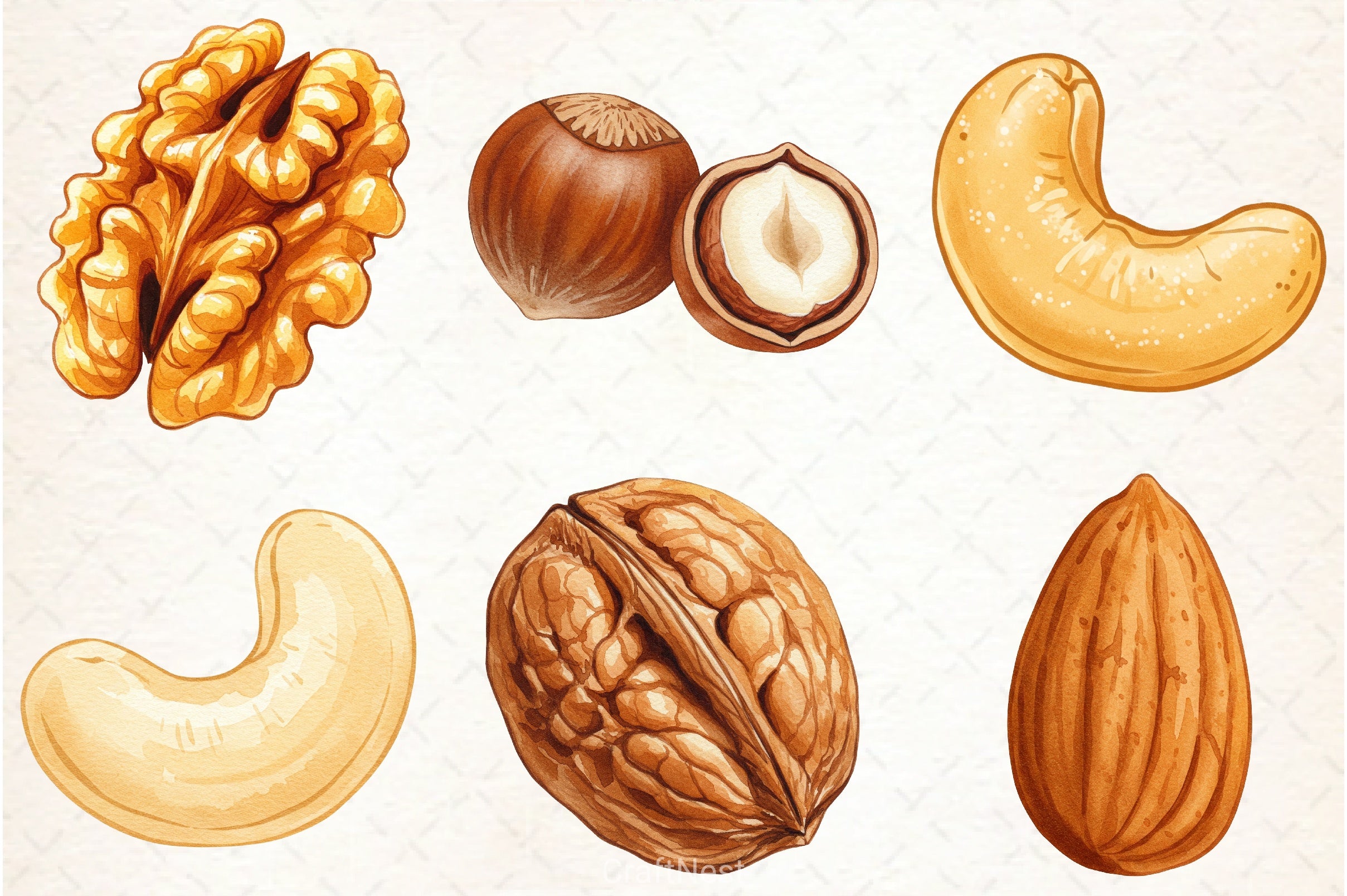 Nuts Clipart Bundle 3 - CraftNest - Digital Crafting and Art