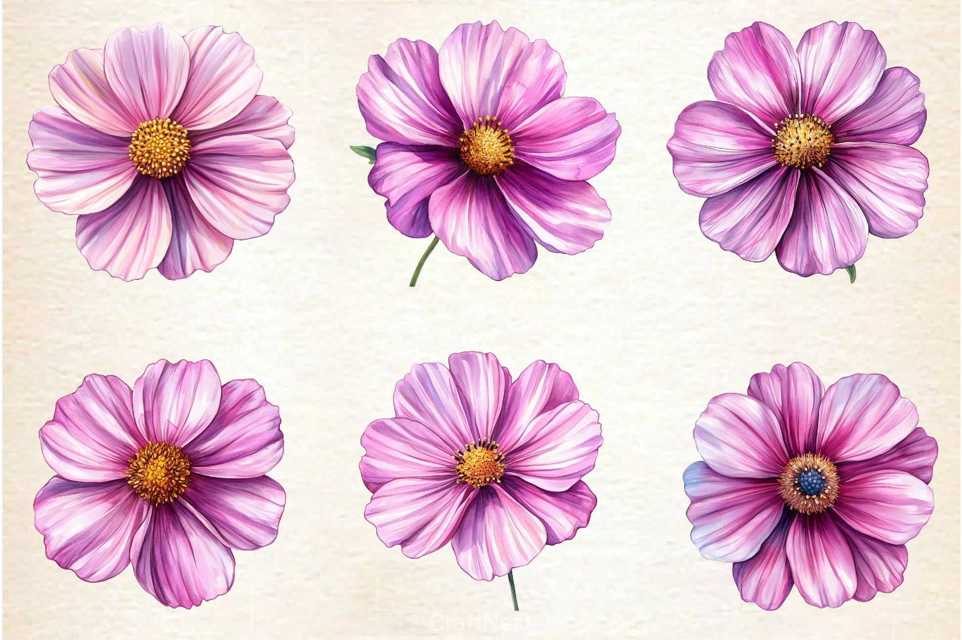 Pink Cosmos Flower Clipart Bundle - CraftNest - Digital Crafting and Art