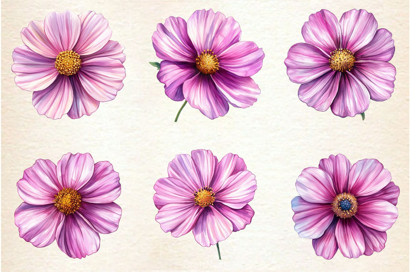 Pink Cosmos Flower Clipart Bundle - CraftNest - Digital Crafting and Art