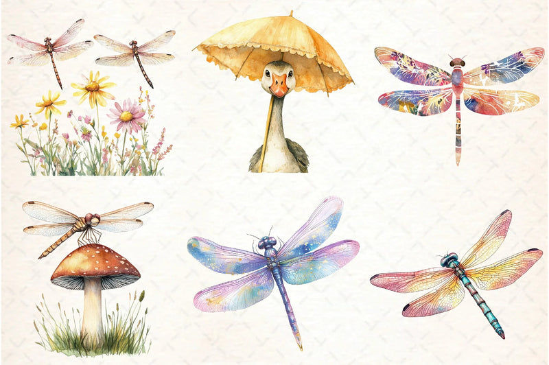 Summer Dragonfly Garden Clipart Bundle - CraftNest - Digital Crafting and Art