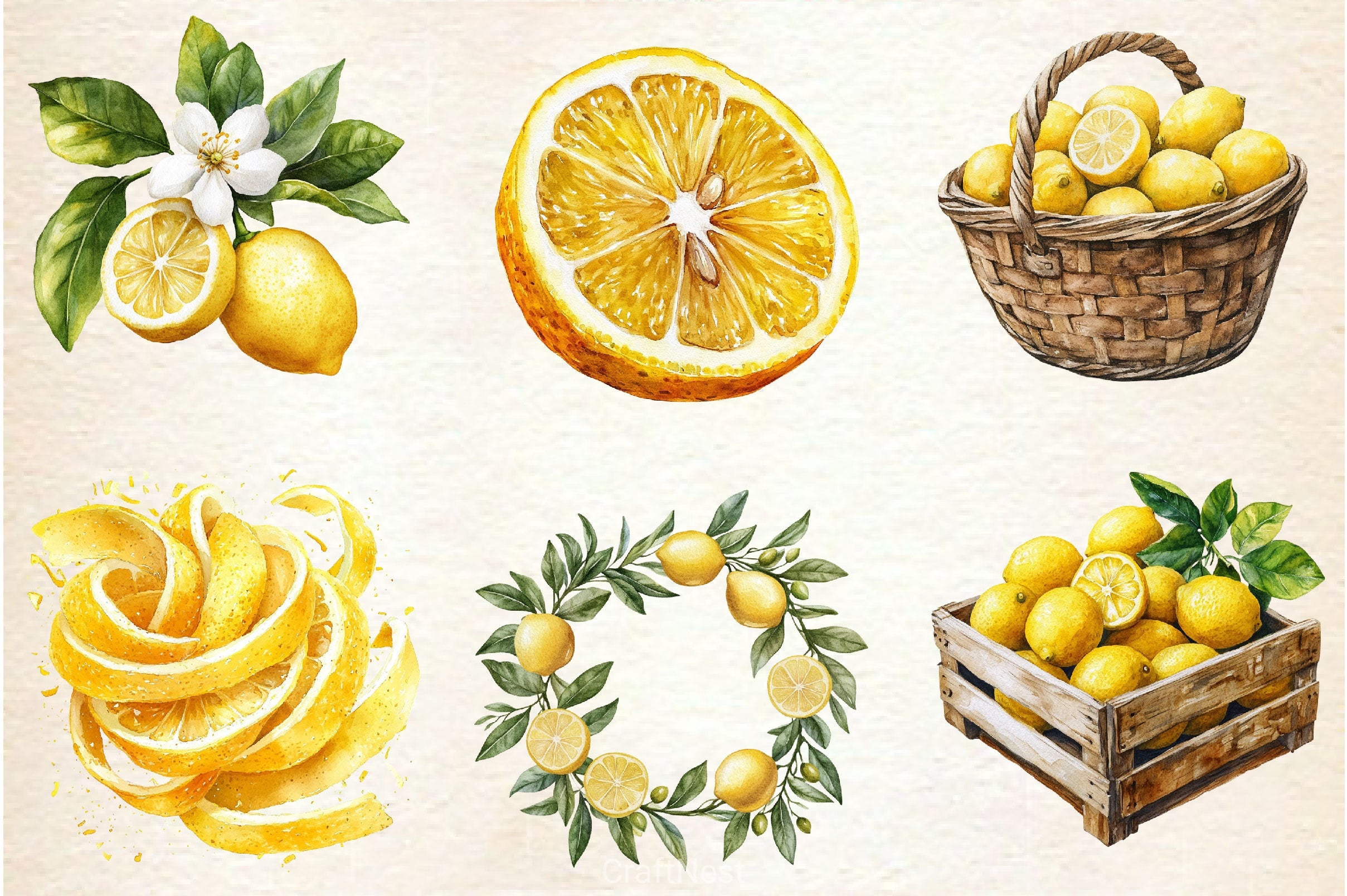 Mediterranean Lemon Botanical Clipart Bundle 4 - CraftNest - Digital Crafting and Art