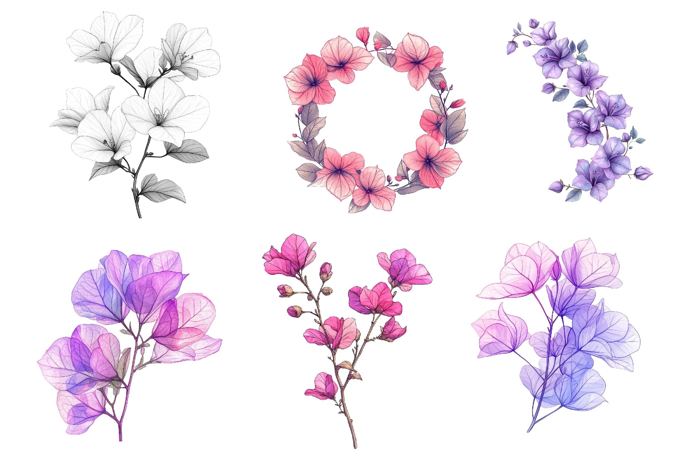 Bougainvillea Flower Clipart Bundle 2 - CraftNest - Digital Crafting and Art
