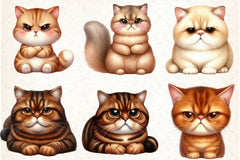 Grumpy Cat Clipart Bundle - CraftNest - Digital Crafting and Art