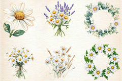 Daisies Flowers Clipart Bundle - CraftNest - Digital Crafting and Art