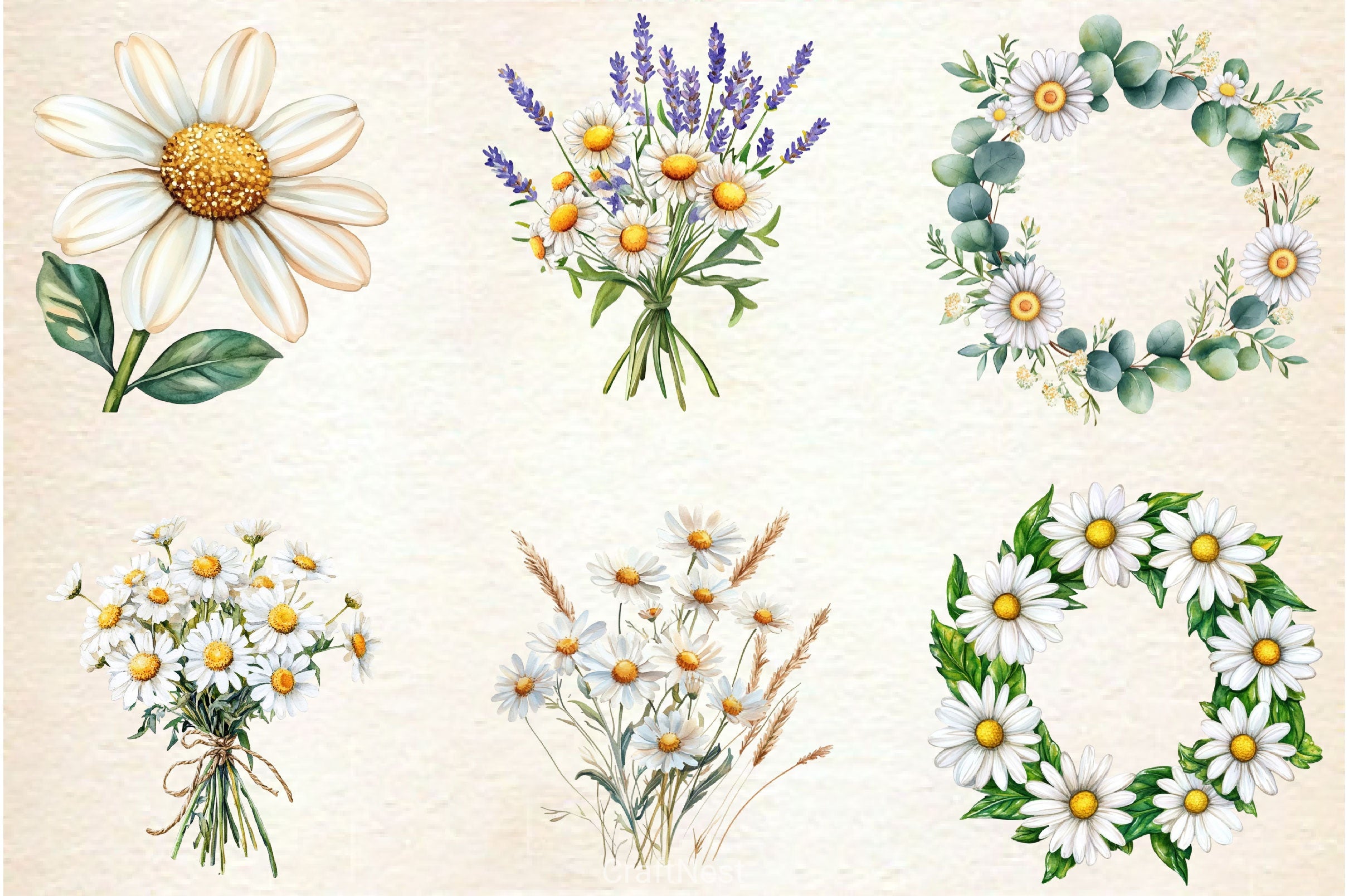 Daisies Flowers Clipart Bundle - CraftNest - Digital Crafting and Art