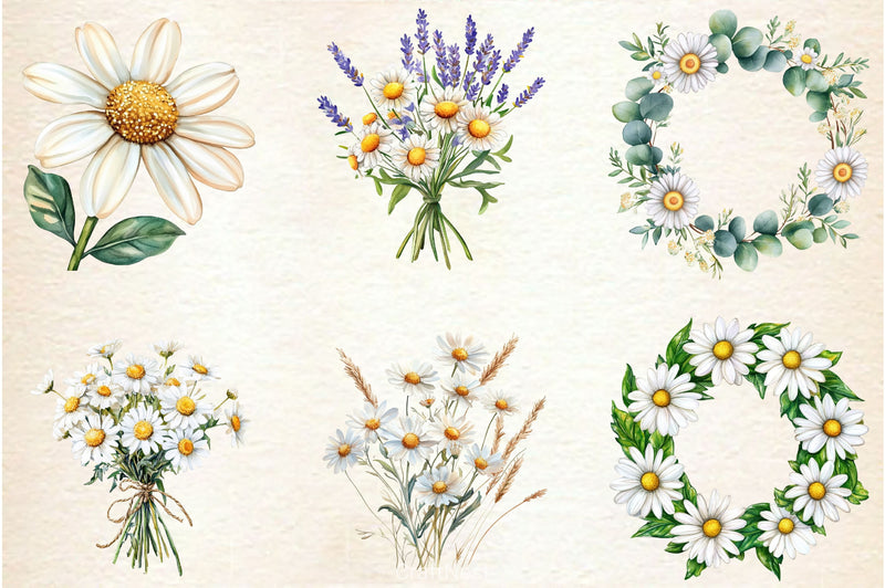 Daisies Flowers Clipart Bundle - CraftNest - Digital Crafting and Art