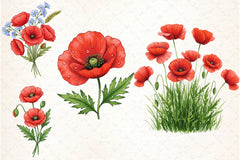 Poppies Clipart Bundle 1 - CraftNest - Digital Crafting and Art