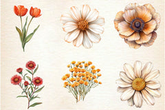 Autumn Wildflowers Clipart Bundle 2 - CraftNest - Digital Crafting and Art