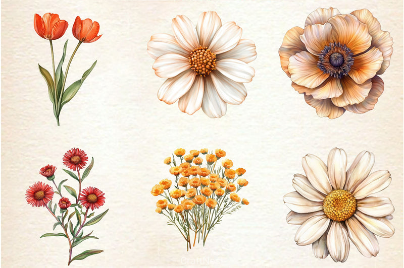 Autumn Wildflowers Clipart Bundle 2 - CraftNest - Digital Crafting and Art