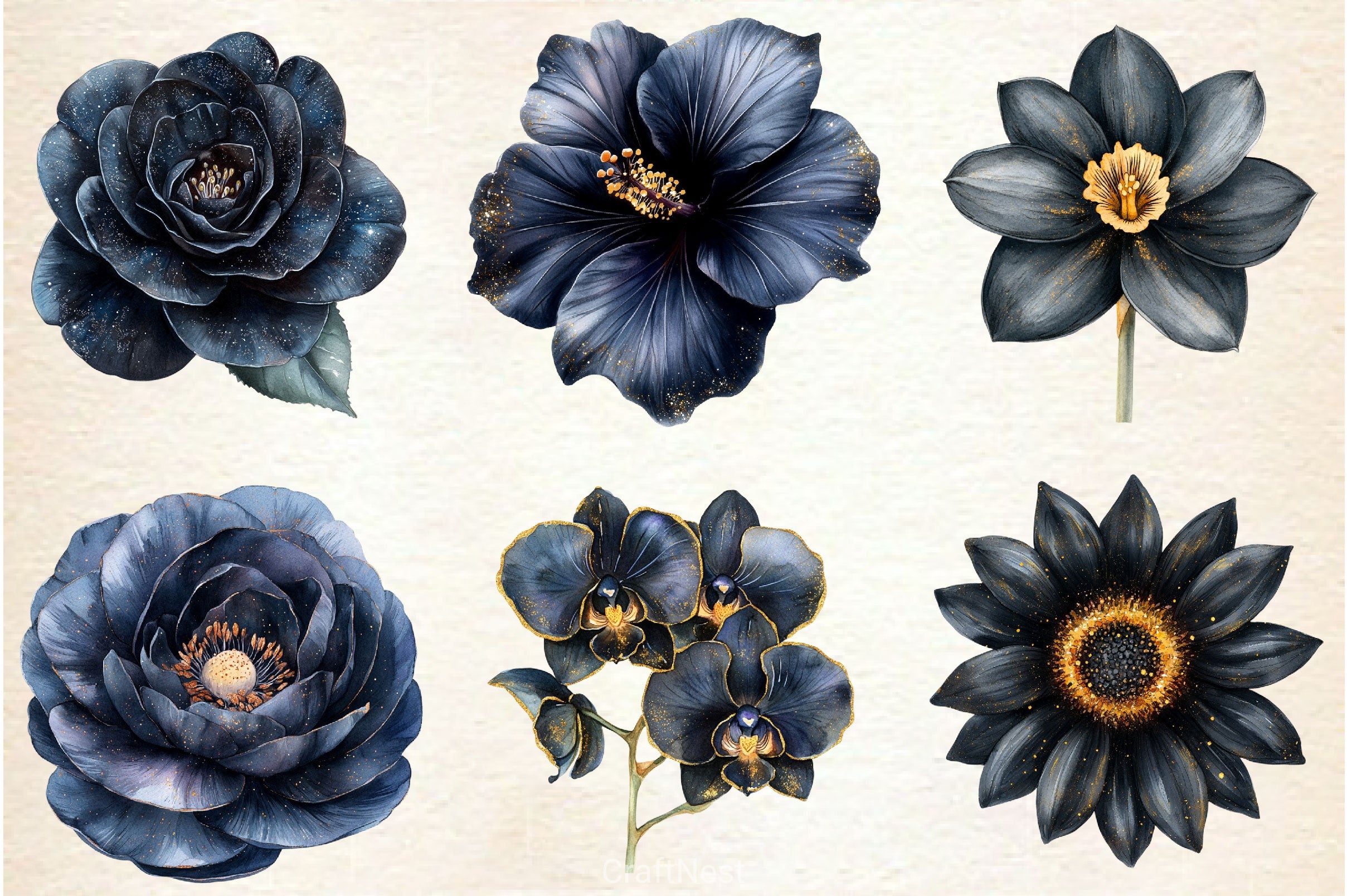 Glitter Luxury Black Spring Flower Clipart Bundle 2 - CraftNest - Digital Crafting and Art