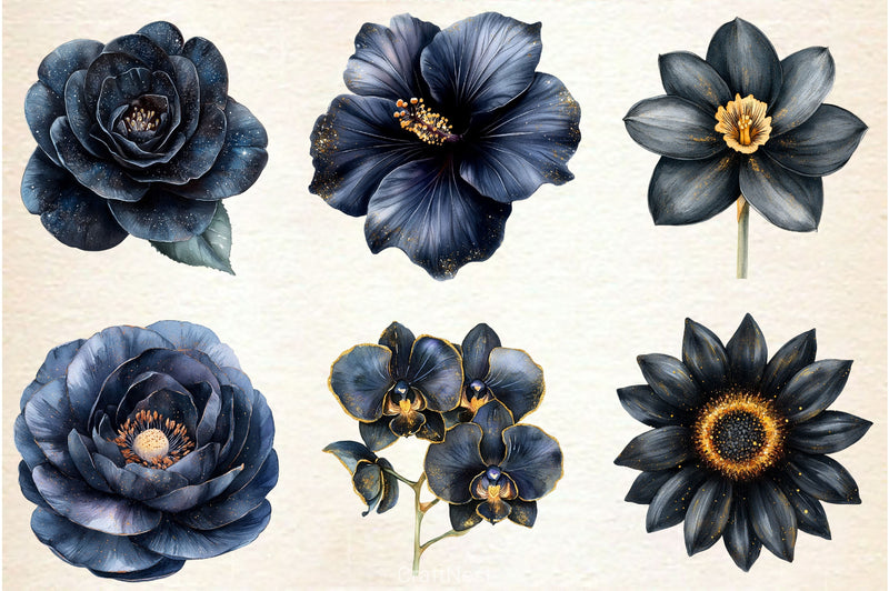 Glitter Luxury Black Spring Flower Clipart Bundle 2 - CraftNest - Digital Crafting and Art