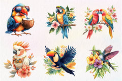 Tropical Bird Jungle Bird Clipart Bundle 1 - CraftNest - Digital Crafting and Art