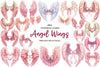 Coquette Angel Wings Clipart Bundle