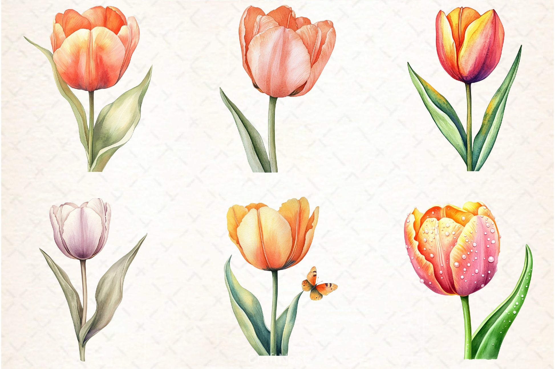 Tulip Flower Clipart Bundle 5 - CraftNest - Digital Crafting and Art
