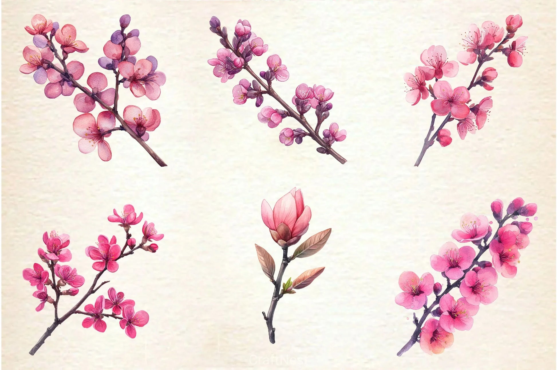 Spring Redbud Flower Clipart Bundle 2 - CraftNest - Digital Crafting and Art