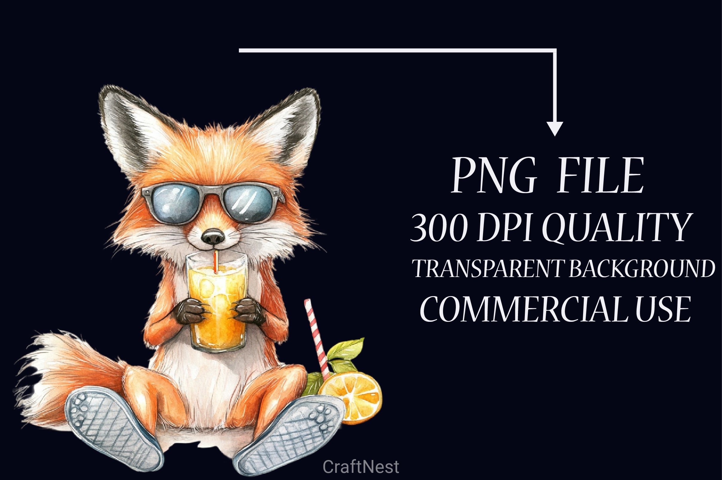 Funny Summer Animals Clipart Bundle - CraftNest - Digital Crafting and Art