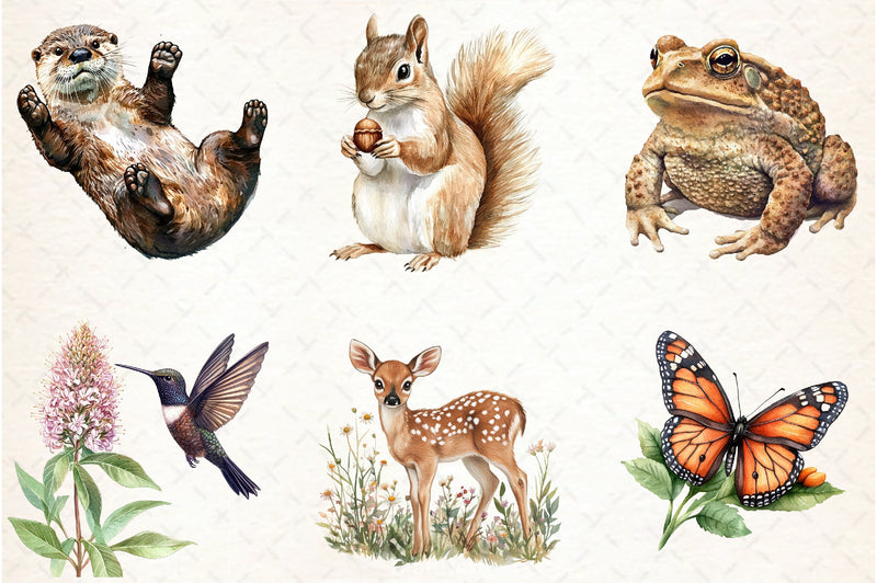 Garden Animals Clipart Bundle - CraftNest - Digital Crafting and Art