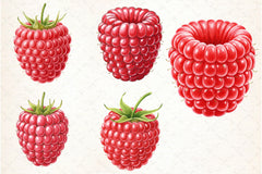 Raspberry Clipart Bundle 1 - CraftNest - Digital Crafting and Art