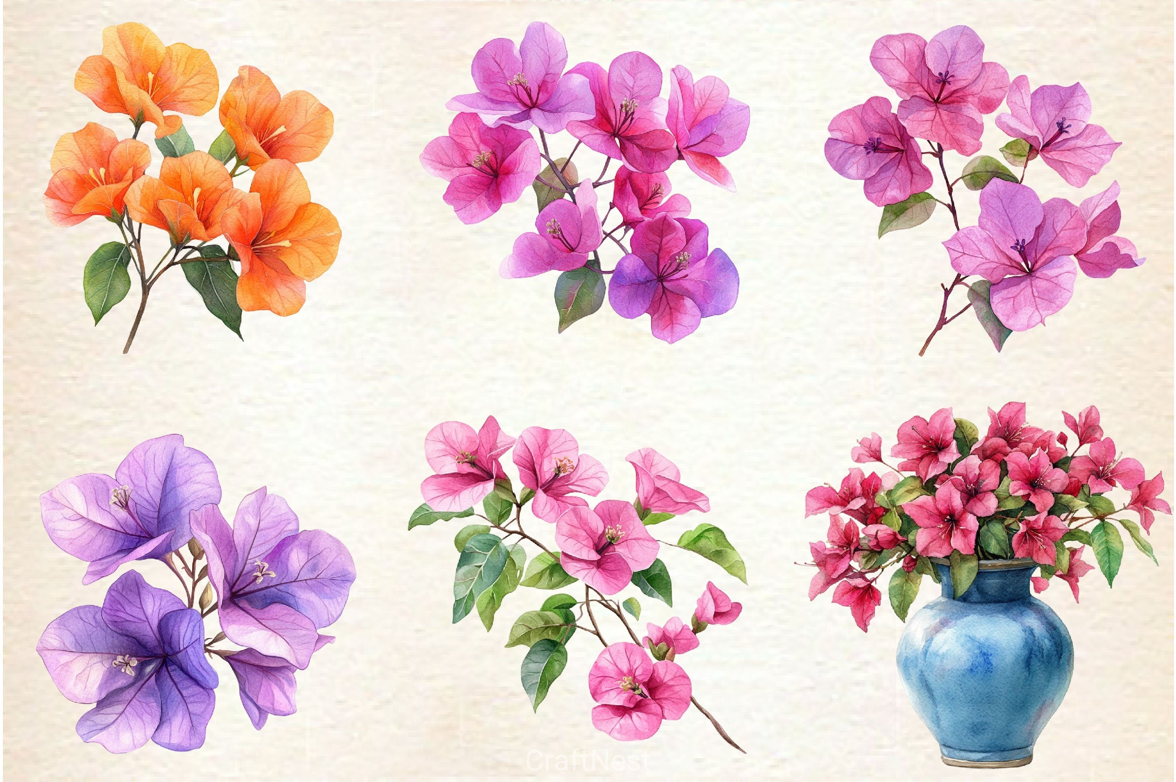 Bougainvillea Flower Clipart Bundle 4 - CraftNest - Digital Crafting and Art
