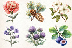 Vintage Botanical Clipart Bundle 3 - CraftNest - Digital Crafting and Art