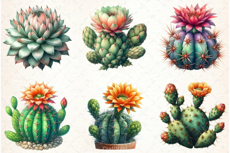 Cactus Clipart Bundle 4 - CraftNest - Digital Crafting and Art