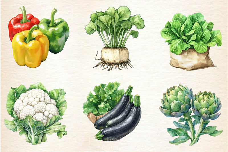 Vegetable Seeds Packet Clipart Bundle - CraftNest - Digital Crafting and Art