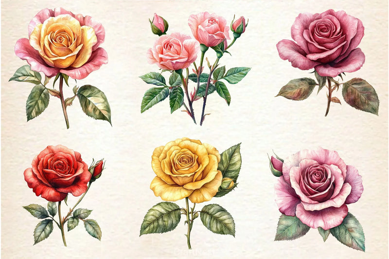 Summer Lithograph Roses Clipart Bundle - CraftNest - Digital Crafting and Art