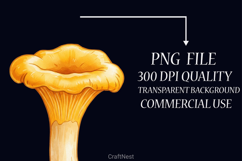 Edible Mushrooms Clipart Bundle 2 - CraftNest - Digital Crafting and Art