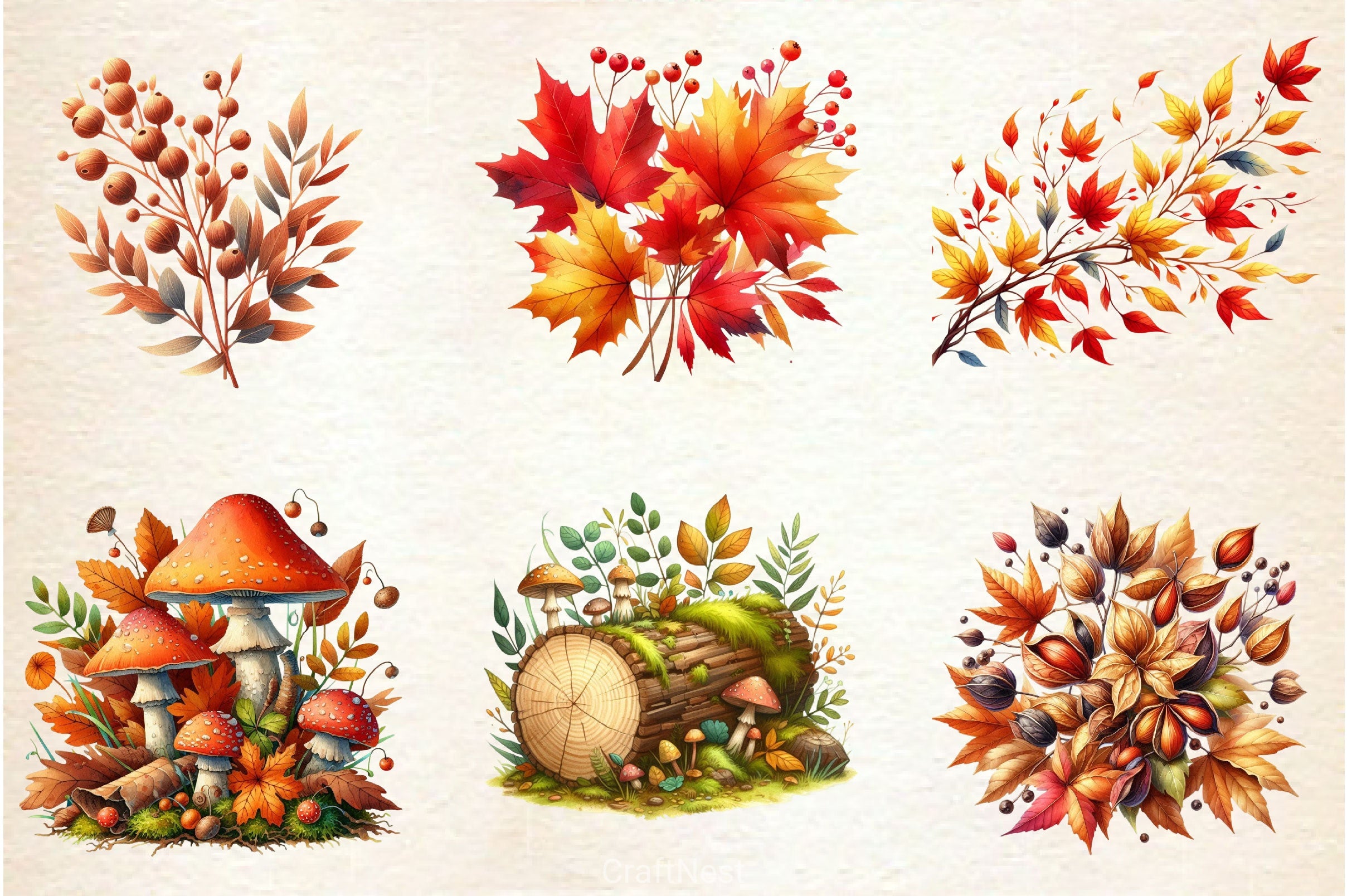 Autumn Nature Clipart Bundle - CraftNest - Digital Crafting and Art