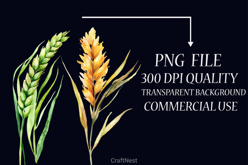 Wheat Clipart Bundle - CraftNest - Digital Crafting and Art