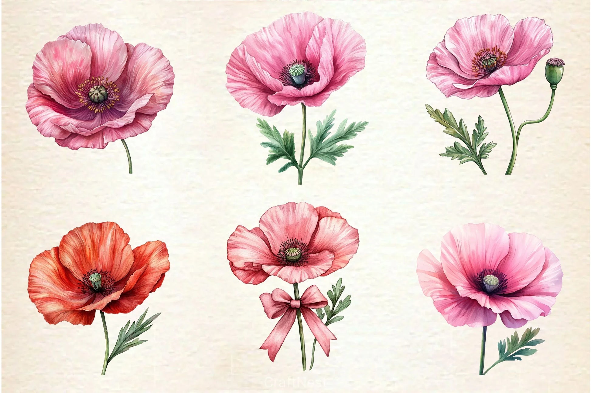 Spring Poppies Clipart Bundle - CraftNest - Digital Crafting and Art