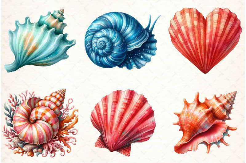 Ocean Sea Shell Clipart Bundle - CraftNest - Digital Crafting and Art