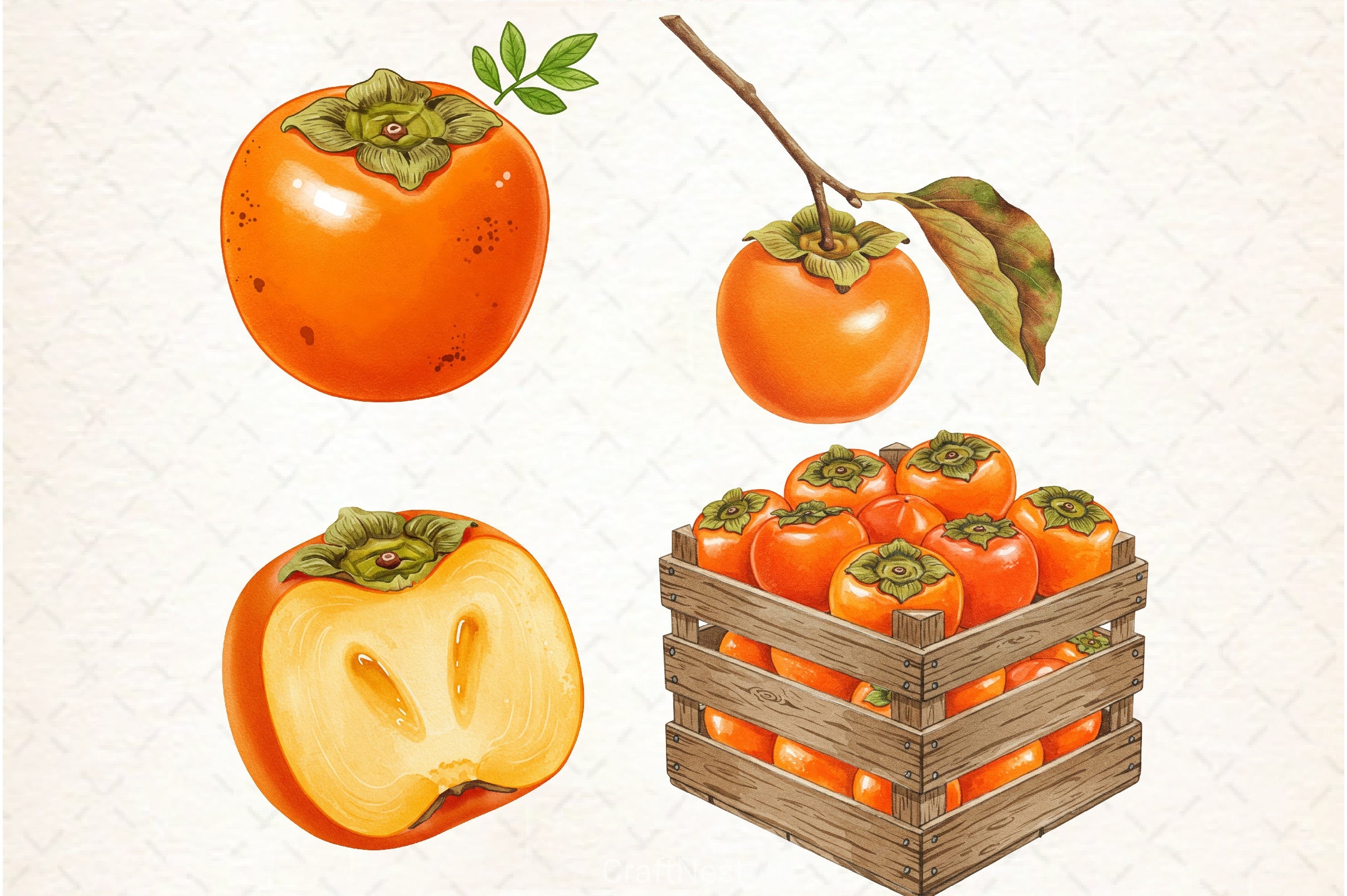 Persimmon Fruit Clipart Bundle 1 - CraftNest - Digital Crafting and Art