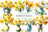 Daffodil Flowers Clipart Bundle