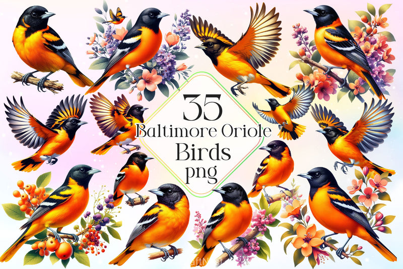 Baltimore Oriole Bird Clipart Bundle 5 - CraftNest - Digital Crafting and Art