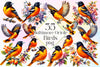 Baltimore Oriole Bird Clipart Bundle 5