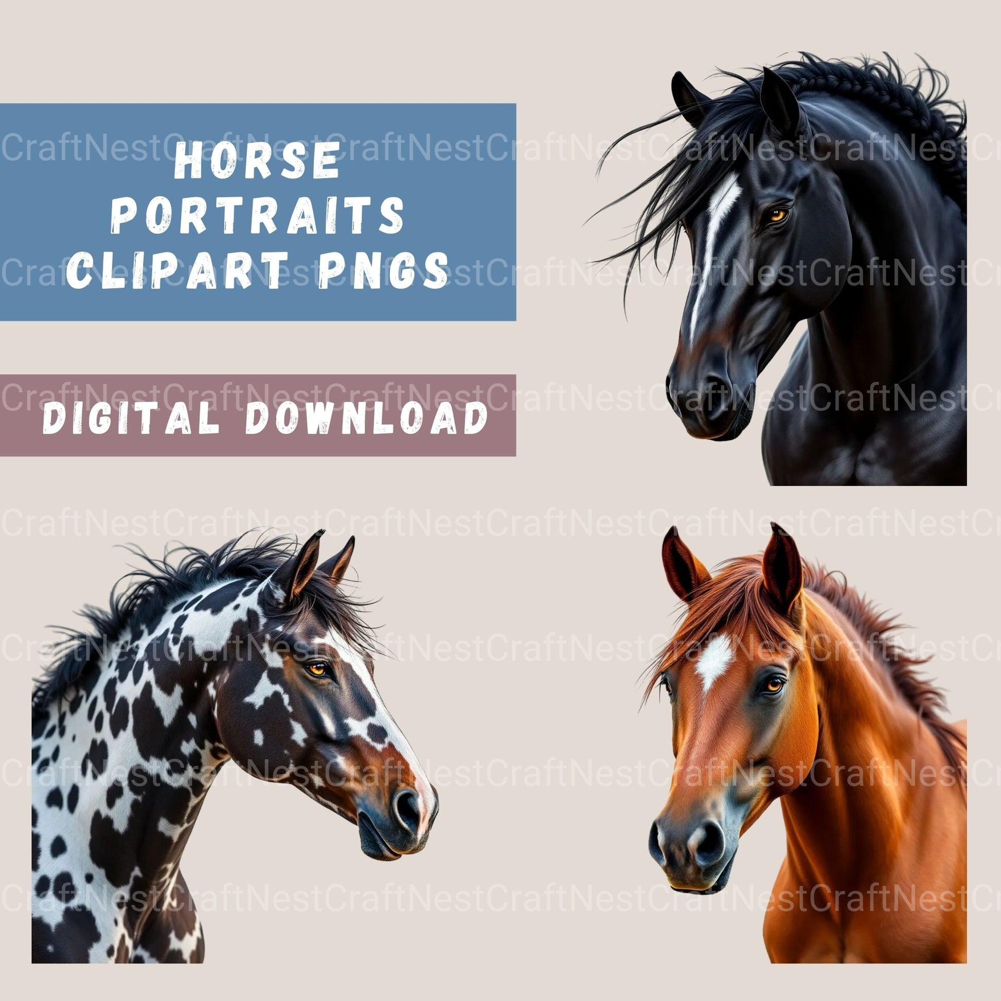 Horse Portraits Clipart Bundle - CraftNest - Digital Crafting and Art